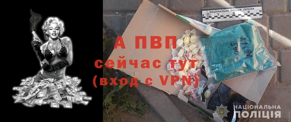 сатива Пересвет