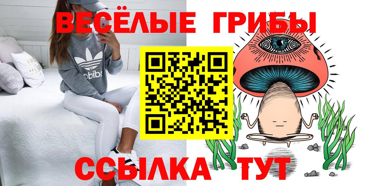 Псилоцибиновые грибы ЛСД  Псилоцибиновые грибы мицелий  Вход с VPN  Сертолово 
